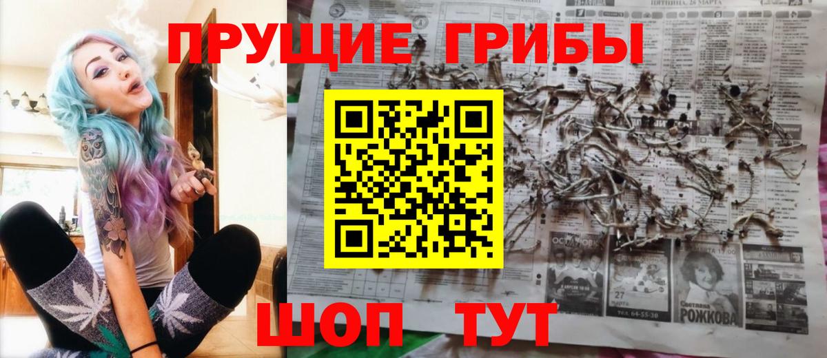 Галлюциногенные грибы прущие грибы Рыбинск