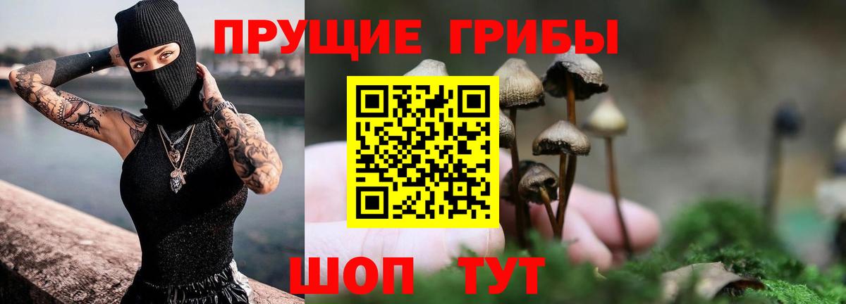 Рыбинск  Псилоцибиновые грибы Cubensis  Вход с VPN 